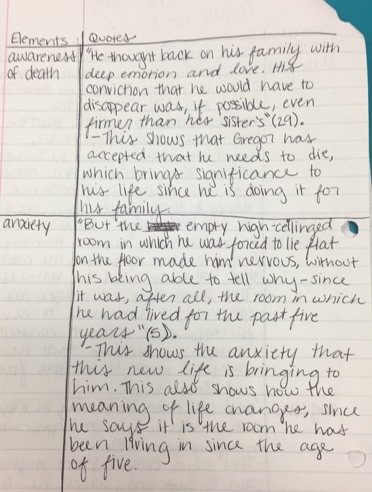 Cornell Notes: The Metamorphosis
